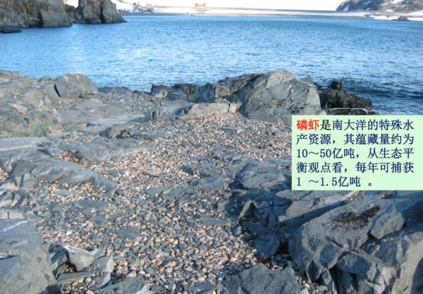 8码鞋是多少厘米(38码是235还是240)"