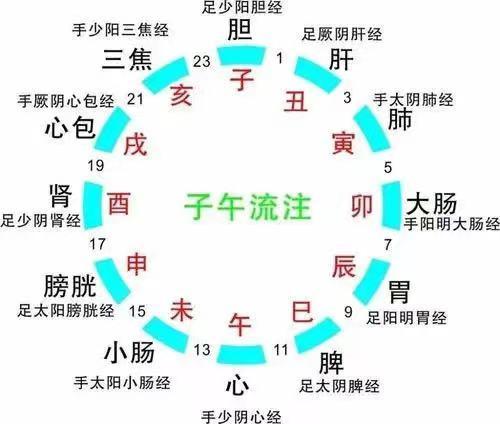 60毫升是几两，80毫升是几两（中医十二时辰养生法）