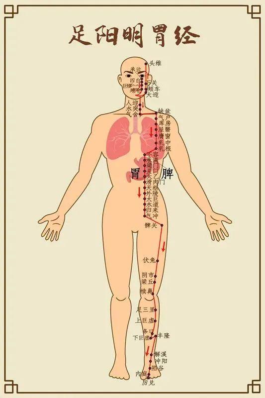 戊时末是什么时辰，未时到戌时是几点（中医十二时辰养生法）