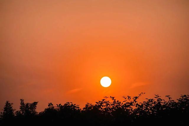 戊时末是什么时辰，未时到戌时是几点（中医十二时辰养生法）