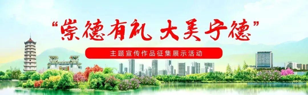 蓝青学校学费（向全社会征集）