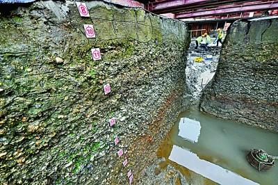 余姚生活网信息广场，东南沿海先民的生活印记——井头山遗址考古发掘影像纪实