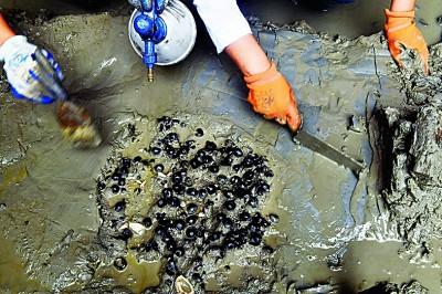 余姚生活网信息广场，东南沿海先民的生活印记——井头山遗址考古发掘影像纪实