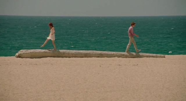 欲望邀请（白日美人，欲望邀请 下载（当社会学开始谈情说性）