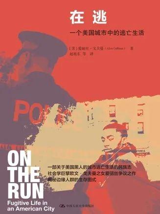 欲望邀请（白日美人，欲望邀请 下载（当社会学开始谈情说性）