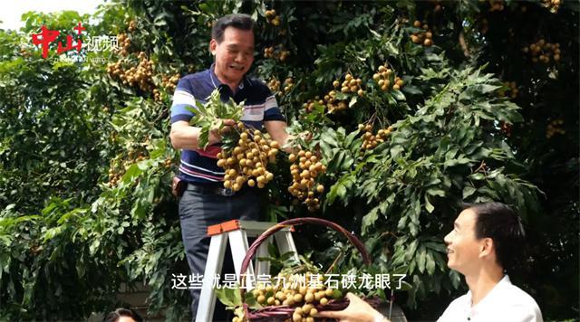 香港艇仔什么意思，艇仔粥的材料和做法（“龙头凤尾”龙眼季节龙眼宴）