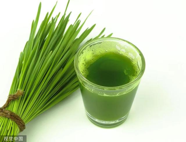 大麦青汁的功效与作用，大麦若叶青汁的功效和作用副作用（“好难喝，再来一杯！”）