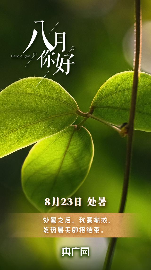 八月你好,八月你好的唯美句子(八月,你好图片)