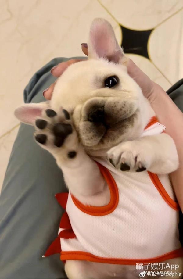 张雪迎个人资料，张雪迎个人资料作品介绍（还记得《旋风少女》里的张雪迎吗）