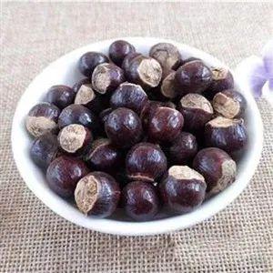 桂圆与龙眼的区别，桂圆与龙眼区别（荔枝才过，龙眼又熟）