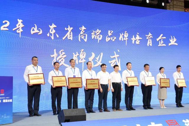 泰山在哪个省哪个市，泰安市泰山区推进质量强区战略