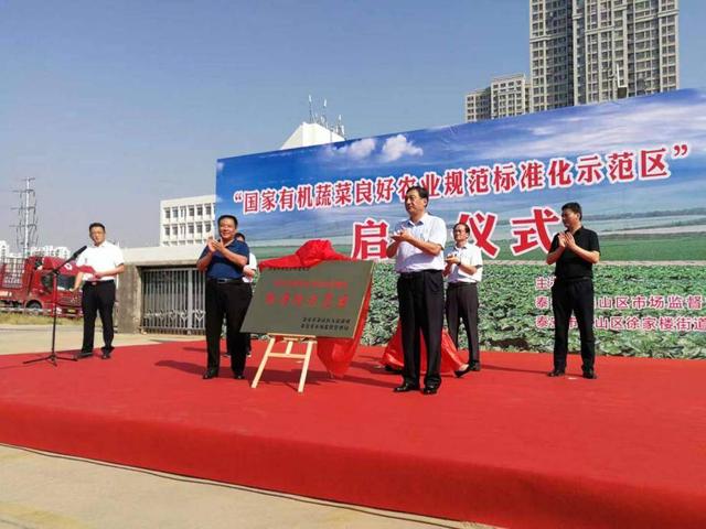 泰山在哪个省哪个市，泰安市泰山区推进质量强区战略