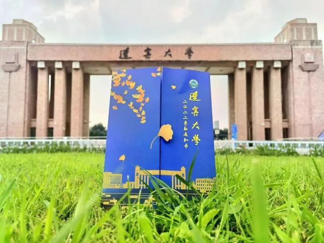 沈阳市市区里都有什么大学，沈阳市区内的大学（沈阳12所高校录取通知书曝光）