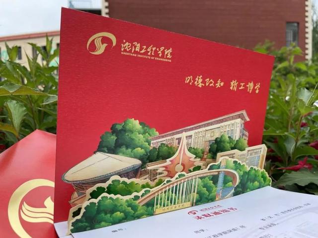 沈阳市市区里都有什么大学，沈阳市区内的大学（沈阳12所高校录取通知书曝光）