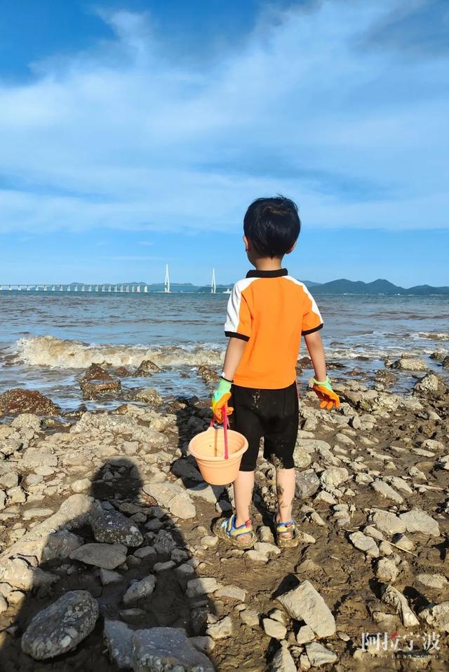 海边放松心情的句子，藏着蔚蓝大海和20°C的清凉夏日哦