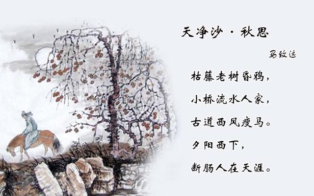 可惜什么意思及解释,可惜拼音怎么读(古代诗歌的多义与反讽)