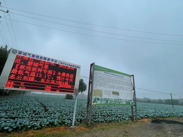 抖音直播带货怎么那么难，抖音直播带货怎么那么难做？