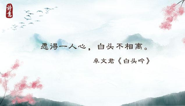 我是否也在你心中，你是否也在我心中原唱（共赴一场优雅浪漫的“爱情诗词大会”）