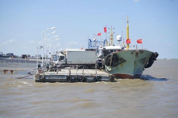 《舌鳎鱼不去皮可以吃吗》，崇明开捕后第一批“鲜味儿”上市