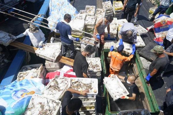 《舌鳎鱼不去皮可以吃吗》，崇明开捕后第一批“鲜味儿”上市