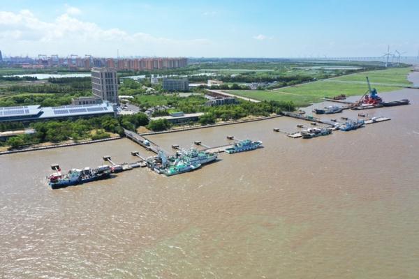 《舌鳎鱼不去皮可以吃吗》，崇明开捕后第一批“鲜味儿”上市