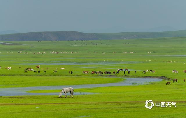 内蒙古草原的气候特征，草原气候的气候特征（内蒙古呼伦贝尔水草丰美）