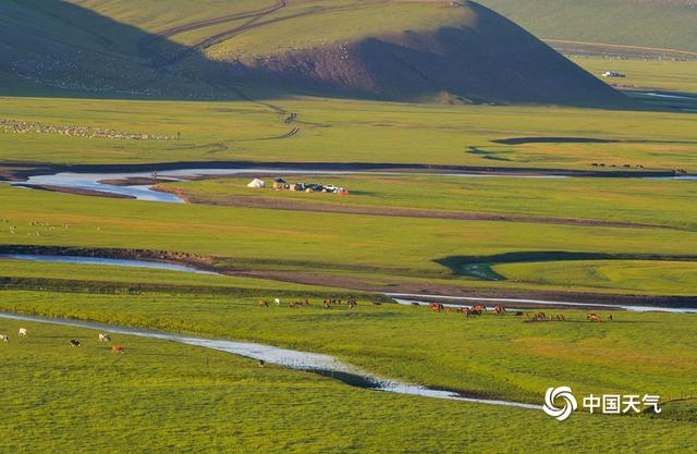 内蒙古草原的气候特征，草原气候的气候特征（内蒙古呼伦贝尔水草丰美）