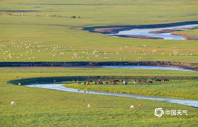 内蒙古草原的气候特征，草原气候的气候特征（内蒙古呼伦贝尔水草丰美）