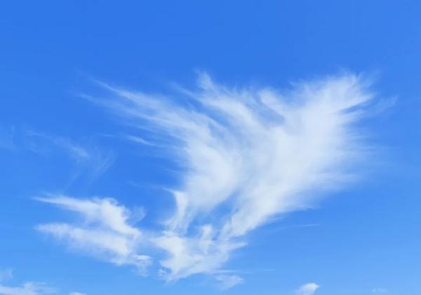 天空白云，天空白云的图片（长沙天空惊现漫画云）