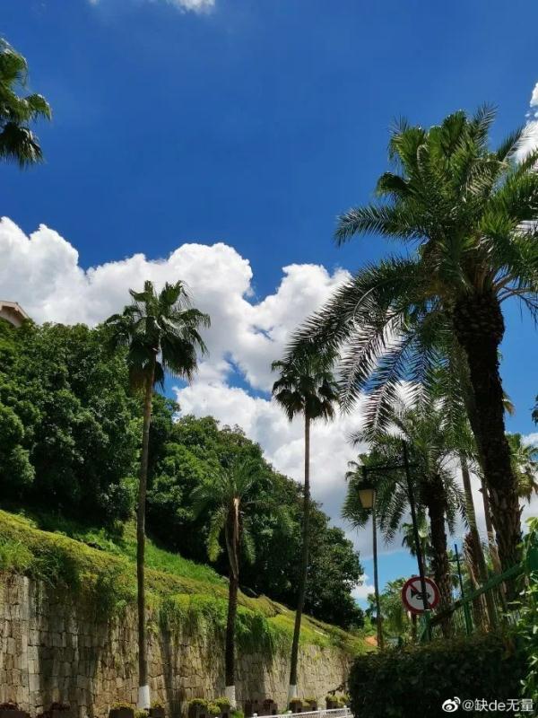 天空白云，天空白云的图片（长沙天空惊现漫画云）