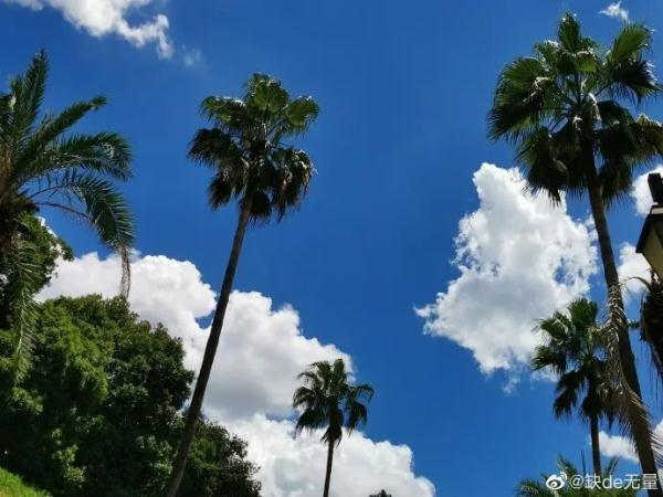 天空白云，天空白云的图片（长沙天空惊现漫画云）