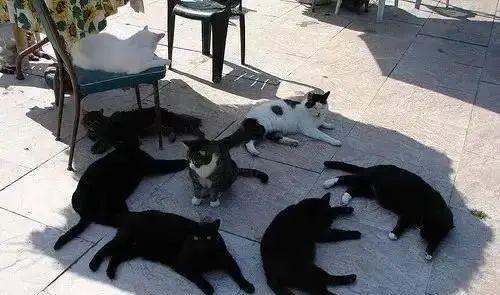 阴天，阴天在不开灯的房间把所有思绪都一点一点沉淀（还能不能和阳光愉快地玩游戏了图片）