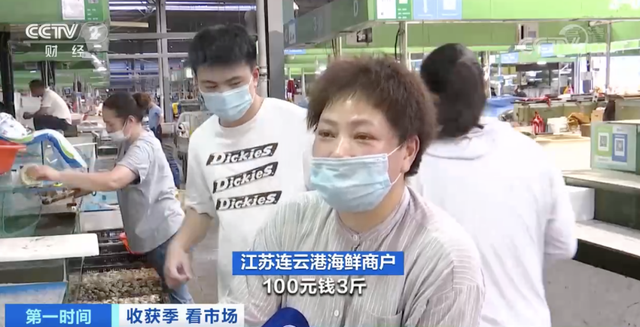 皮皮虾多少钱一斤，今日北海皮皮虾价格（螃蟹卖出“大白菜价”）