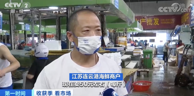 皮皮虾多少钱一斤，今日北海皮皮虾价格（螃蟹卖出“大白菜价”）