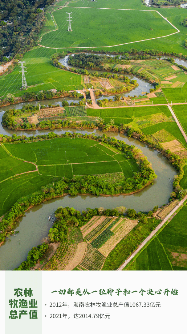 海南省人口分布是什么情况，海南省人口分布图（动静之间，看海南这十年）