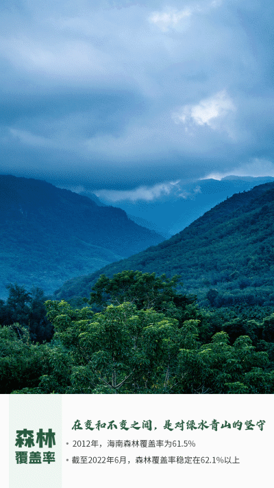 海南省人口分布是什么情况，海南省人口分布图（动静之间，看海南这十年）