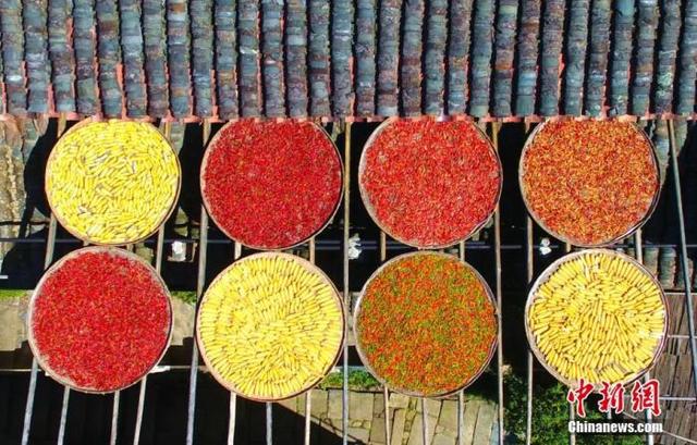 立秋美好寓意，立秋好的寓意（今日立秋丨这个秋天）