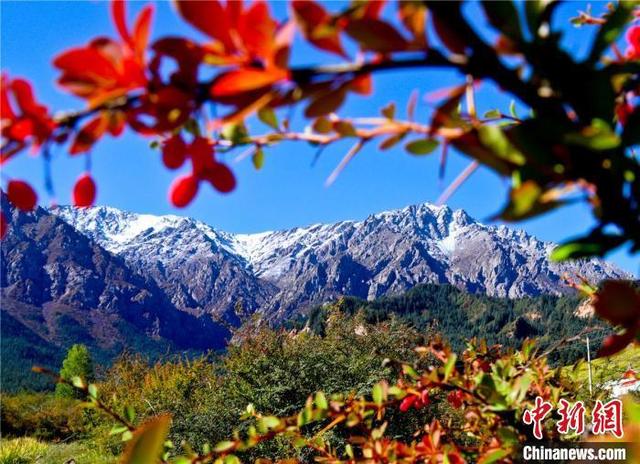 立秋美好寓意，立秋好的寓意（今日立秋丨这个秋天）