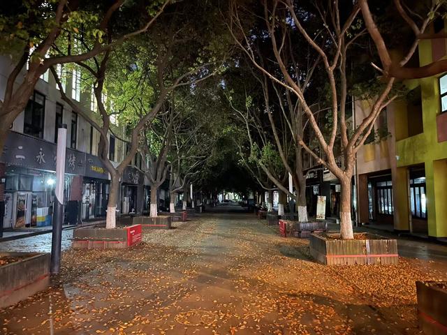 安亭新镇规划，安亭新镇规划案例（听安亭新镇的居民们讲讲上海这个国际融合居住区的好）