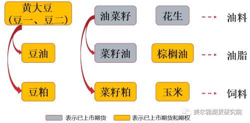 豆一和豆二区别，期货豆一和豆二的区别（黄大豆1号、黄大豆2号和豆油期货期权上市啦）