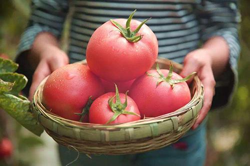 喝绿茶能减肥吗，喝什么茶能减肥（你最关心的15个关于减肥的饮食问答来了）