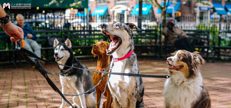 线上线下营销案例（宠物）
