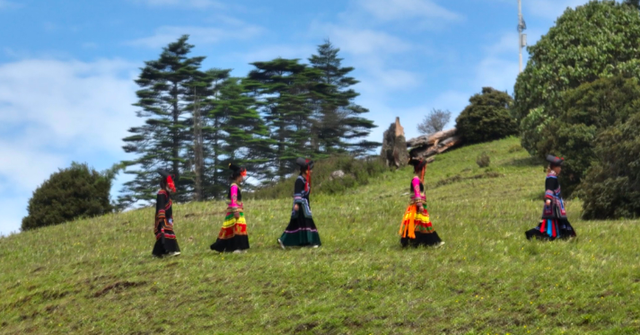 碧草如茵的意思是什么，碧草成茵是什么意思（走进“攀西秘境”格萨拉）