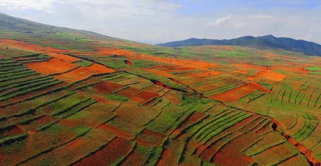 碧草如茵的意思是什么，碧草成茵是什么意思（走进“攀西秘境”格萨拉）