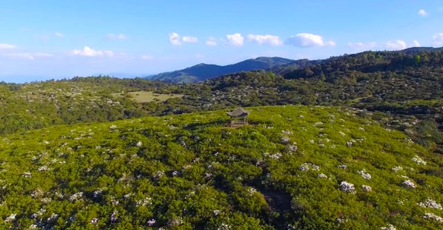 碧草如茵的意思是什么，碧草成茵是什么意思（走进“攀西秘境”格萨拉）