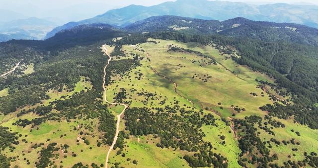 碧草如茵的意思是什么，碧草成茵是什么意思（走进“攀西秘境”格萨拉）