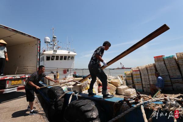 请问上海最大的海鲜市场位于哪里，请问上海最大的海鲜市场位于哪里呢（长兴横沙渔港可现场交易）