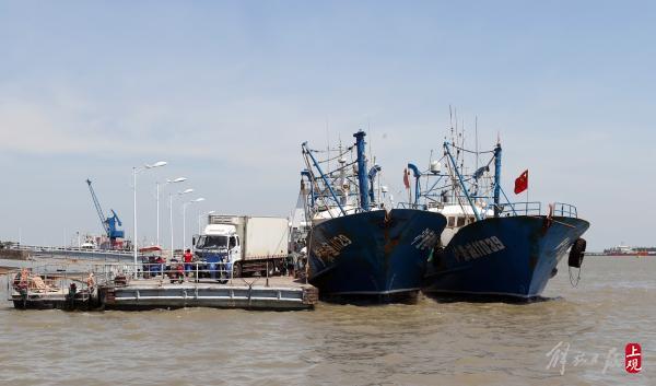 请问上海最大的海鲜市场位于哪里，请问上海最大的海鲜市场位于哪里呢（长兴横沙渔港可现场交易）