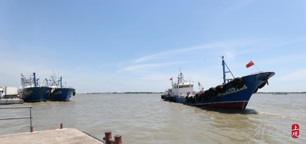 请问上海最大的海鲜市场位于哪里，请问上海最大的海鲜市场位于哪里呢（长兴横沙渔港可现场交易）