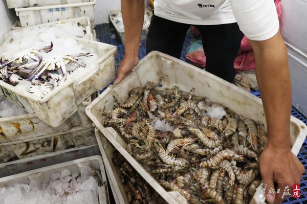 请问上海最大的海鲜市场位于哪里，请问上海最大的海鲜市场位于哪里呢（长兴横沙渔港可现场交易）